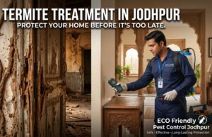 termite treatment in jodhpur